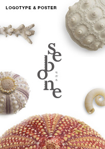 豊橋アートイベントsebone